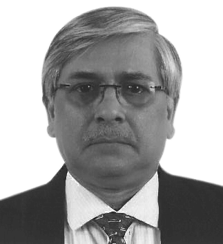 Mr. Pardeep Kumar Sareen (V.P Marketing & Sales)
