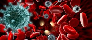 3 Most Common Blood-borne Diseases and the Ways to Stay Safe