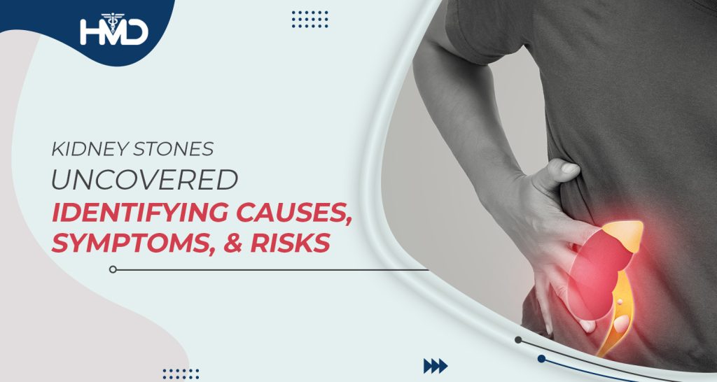 Understanding Kidney Stones: Causes, Symptoms, and Risk Factors | HMD